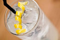 The Original Collins Cocktail