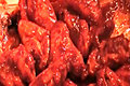 Oven BBQ Chicken Wings 