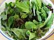Does Oxalic Acid in Greens Cause Kidney Stones 