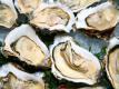 Oysters - Fresh, Fast & Easy - with Michael Weinberg-Lynn