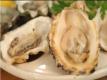 Tips to Shuck Oysters