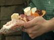 Pack Your Own Picnic With Wegmans Video