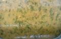 My Mom's Favorite Palak Dal