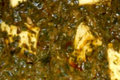 Palak Paneer or Saag Paneer (Spinach Curry)