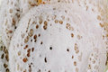Traditional Paalappam