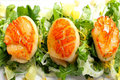 Pan Fried Scallops with Arugula, Fennel and Citrus Vinaigrette