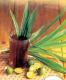How To Make Pandan Ice Tea