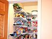 My Healthy Pantry 