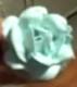Decorating Vanilla Chiffon Genoise - Part 3
