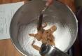 Peanut Butter Mousse Pie Part 1 - Preparation