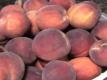 How to Freeze Fresh Peaches