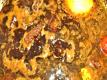 Pepperpot Guyanese Style
