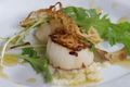 How To Make Perfectly Seared Digby Scallops With Artichoke Puree And Fried Shallot Rings