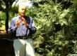 How To Control Pests