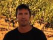 Cellar Angels Introduces Petroni Vineyards
