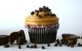 Chocolate Cheese Cupcake