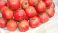 Anaar ( Pomegranate )