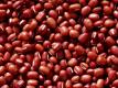 Azuki Bean