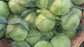 Cabbages