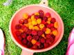 Berries