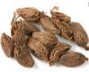 Black Cardamom
