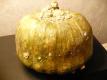 Buttercup Squash