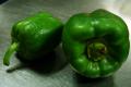 Capsicum