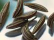 How To Make Caraway Crisps
