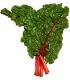 Chard