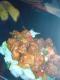 Chicken Manchurian Platter