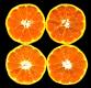 Citrus Unshiu Unshu Mikan