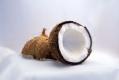 Halved Coconut