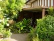 My Little Garden In Front Of My House