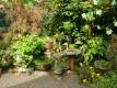 My Little Garden - Flowers And Pots