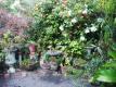 My Little Garden - Colorful Flowers