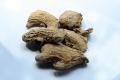 Dry Ginger
