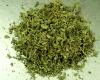 Fenugreek-leaves