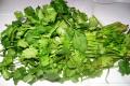 Fresh Coriander Leaves