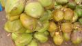 Goan Coconut