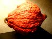 Golden Hubbard Squash