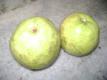 Guavas