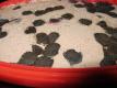 Hamemade Chocochip Ice Cream