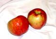 Honey Apple Crisp