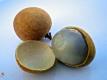 Longan Fruit