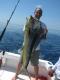 How To Make Mahi Mahi