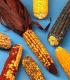 How To Make Chicken A La Maize