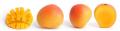 Mango And Cross Sections