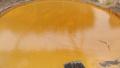Melted Gur ( Jaggery )