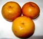 Oranges