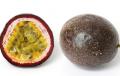 Passionfruit